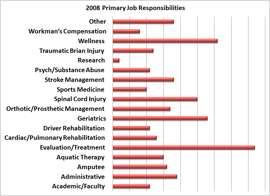 2008 Primary Job Responsibilities 2008 Primary Job Responsibilities